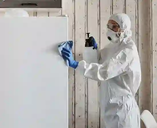 Factory pest control project in North-East India by Maa Kamakhya Pest Control